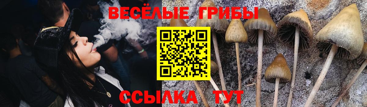 Галлюциногенные грибы Magic Shrooms Борисоглебск